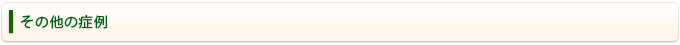 その他の症例