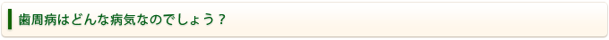 歯周病はどんな病気なのでしょう？